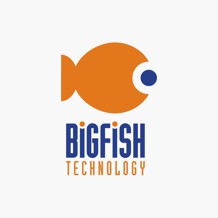 bigfish logo design
