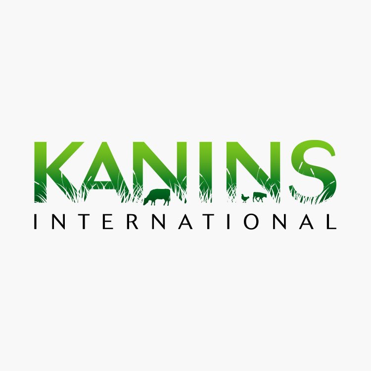 kanins logo design